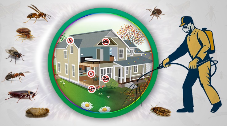 Saray Böcek İlaçlama