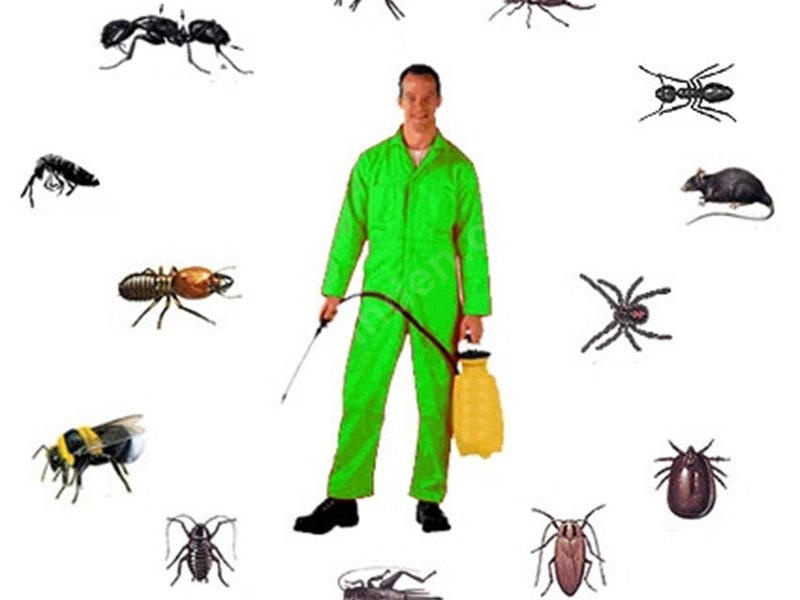 Saray Böcek İlaçlama